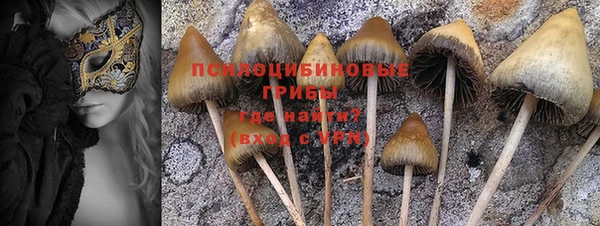 mix Алексин