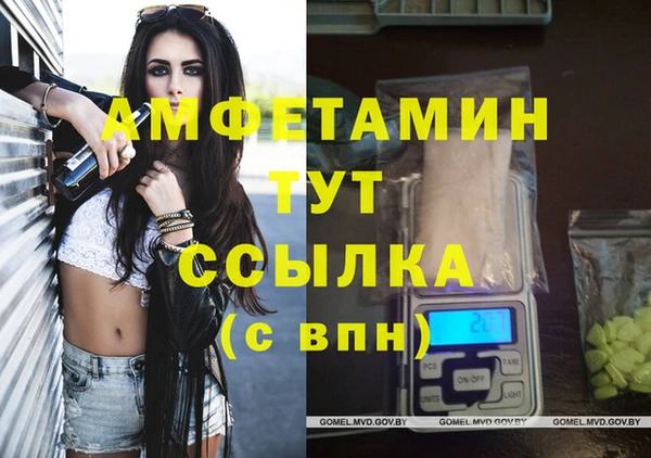 шишки Алзамай