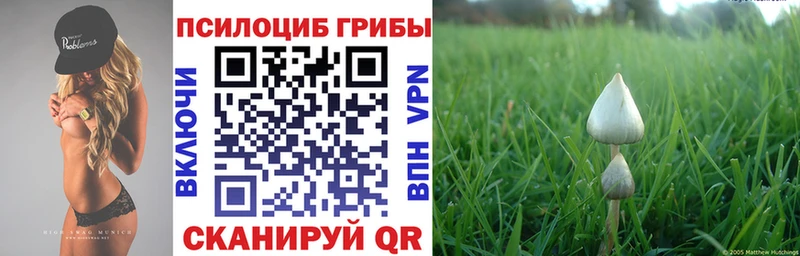 Псилоцибиновые грибы Cubensis  Нижняя Тура 